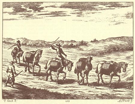 Zboží po Zlaté stezce dopravovali soumaři